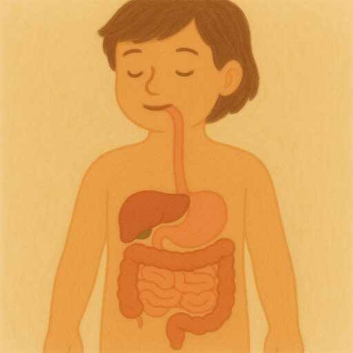 Digestive system