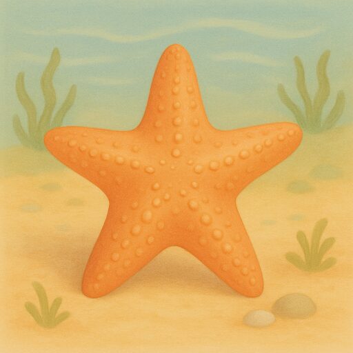 Starfish